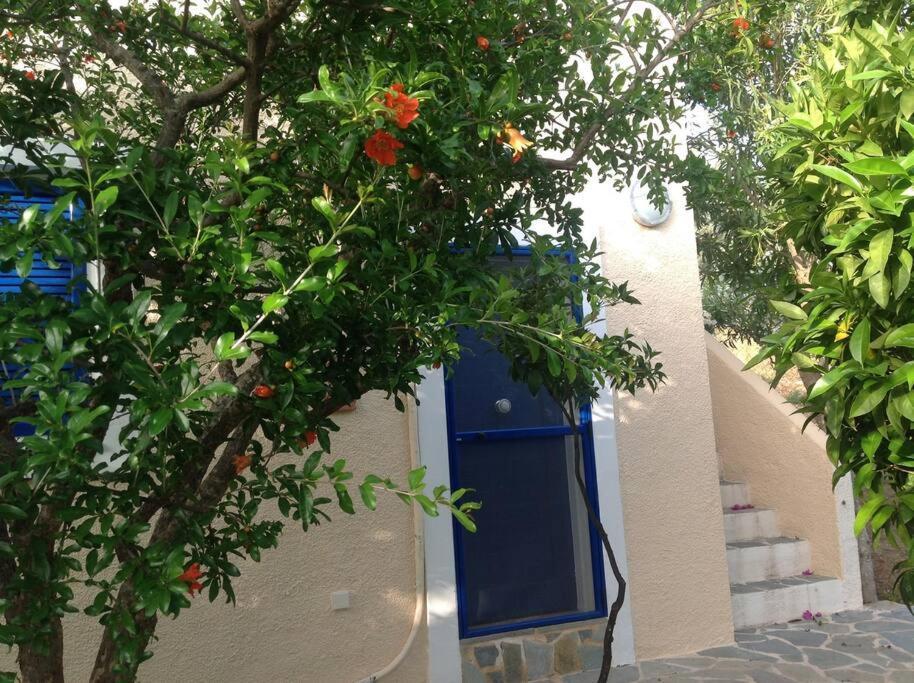 Granatapfel Apartment Porto Heli